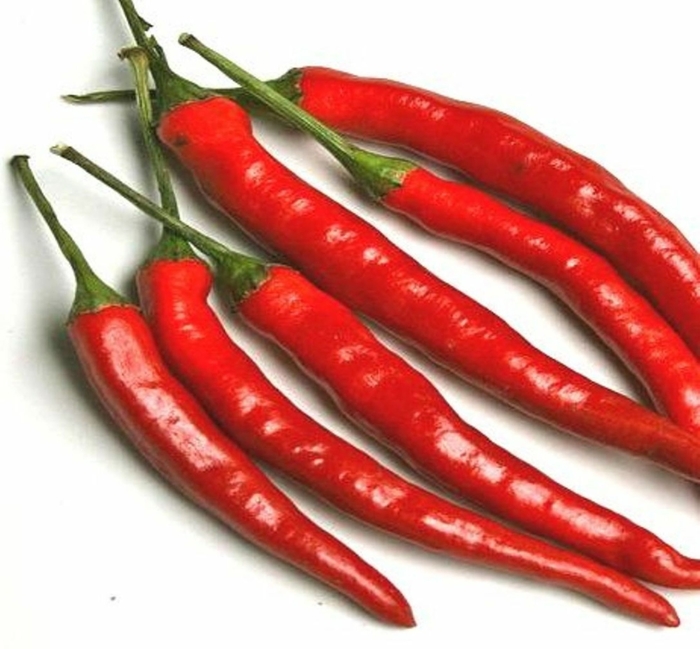 Cayenne Long Thin Hot Pepper - Capsicum annuum from Hand Cart Garden Center