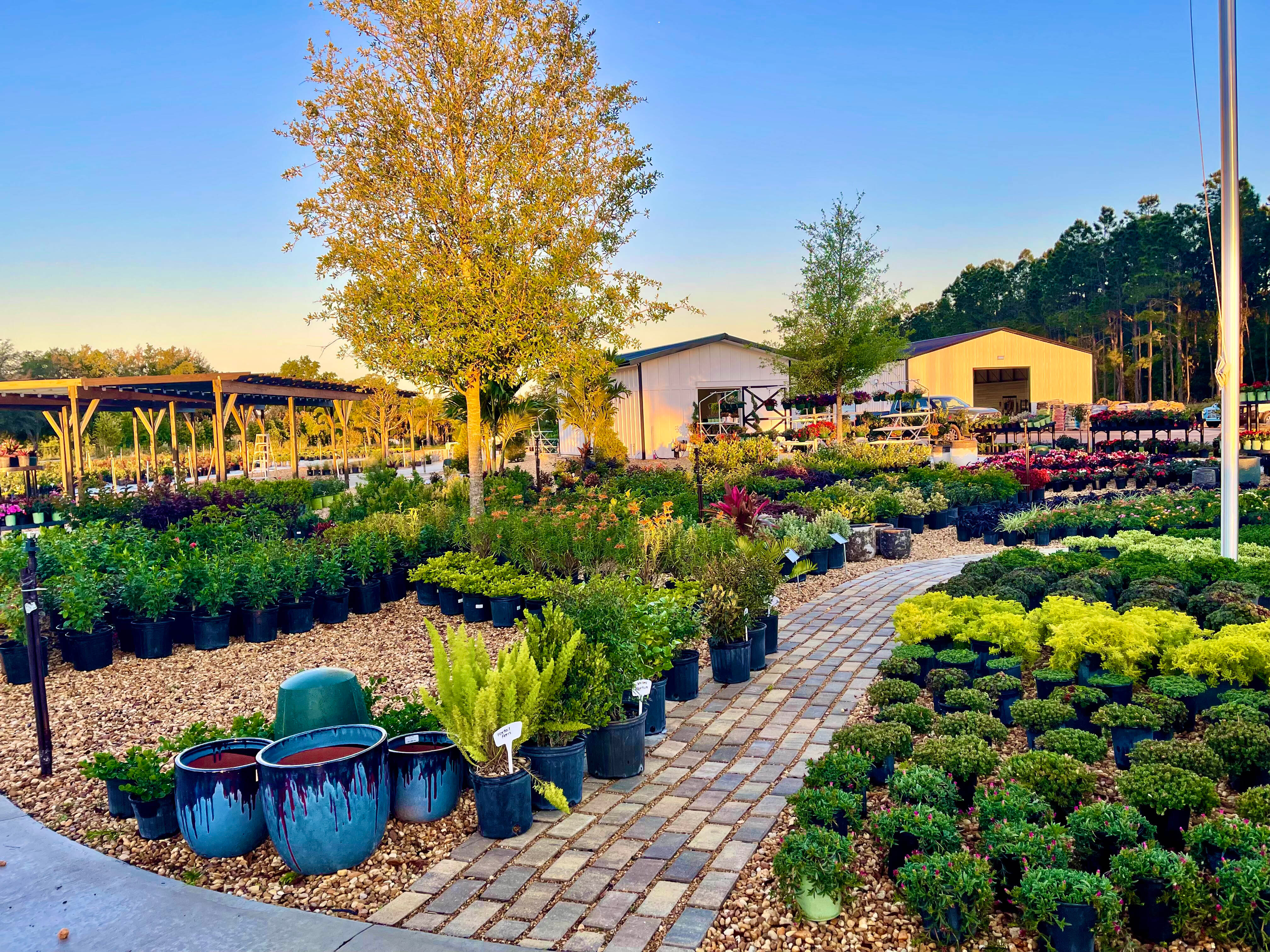 Handcart Garden Center is More Than Just a Business —It's a Passion.