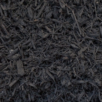 Timberline - Black Mulch