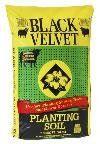 Black Kow - Velvet Planting Soil